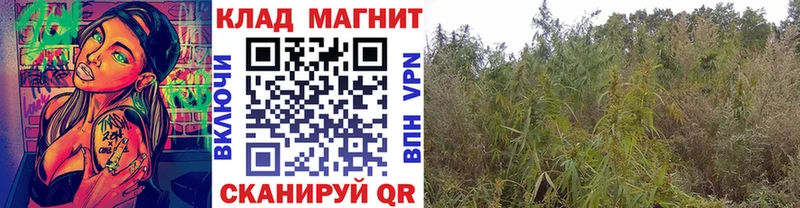 Купить закладку СОЛЬ  Меф мяу мяу  Гашиш  COCAIN  Ессентуки