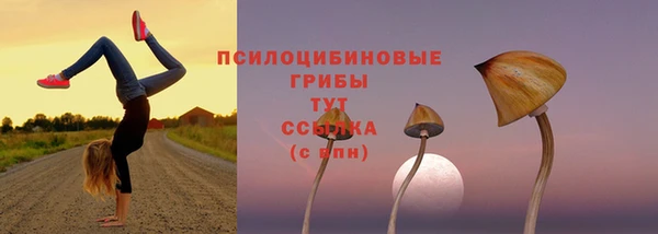 мет Протвино