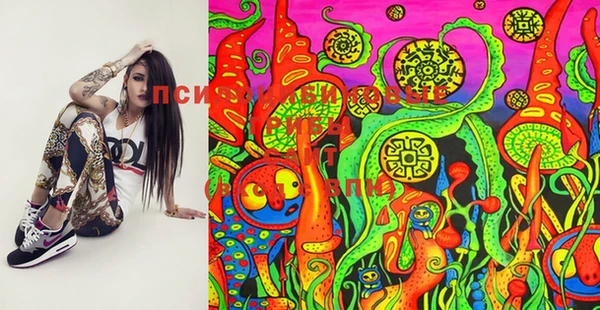 spice Приозерск