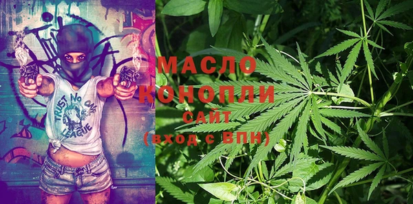 мет Протвино