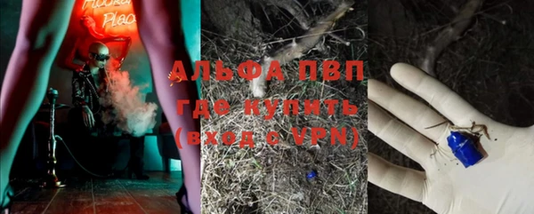 мет Протвино