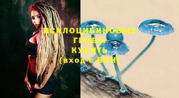 spice Приозерск