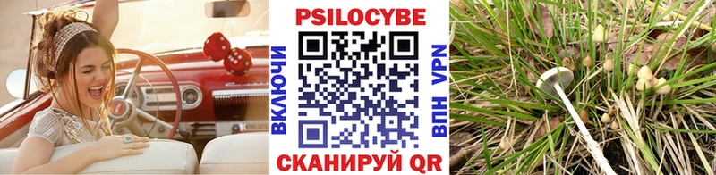 Псилоцибиновые грибы мухоморы  Купить  Ессентуки 